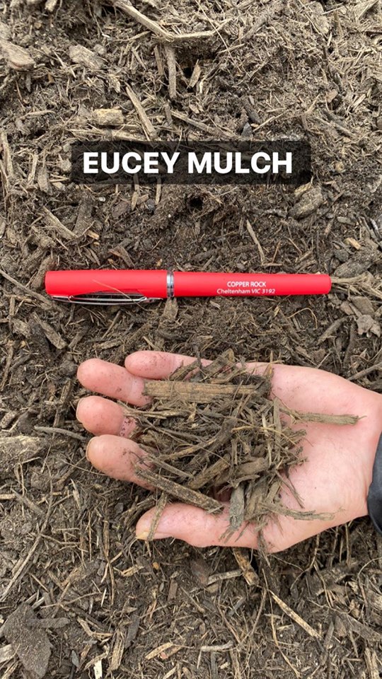 handful of Eucey mulch