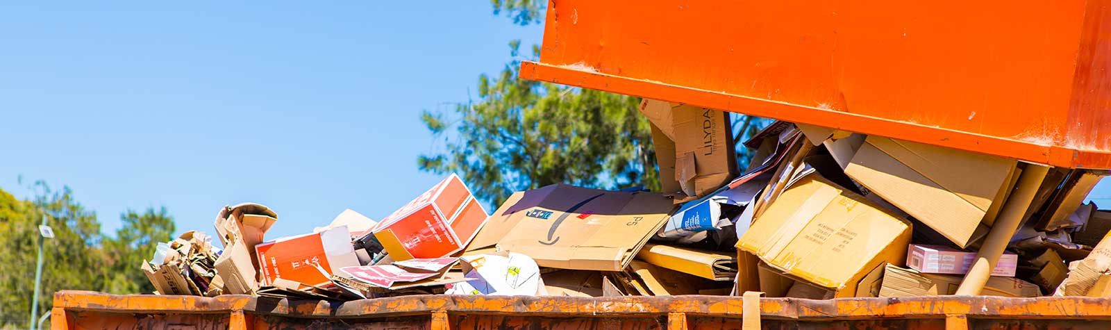 Skip Bin Hire vs Waste & Recycling: What’s best for you?
